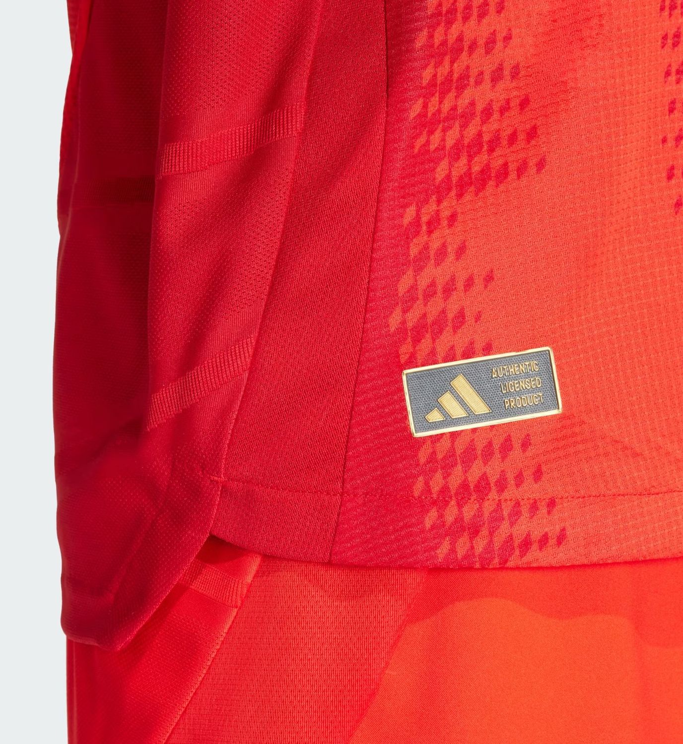 Camisola Principal Bayern Munique 24/25